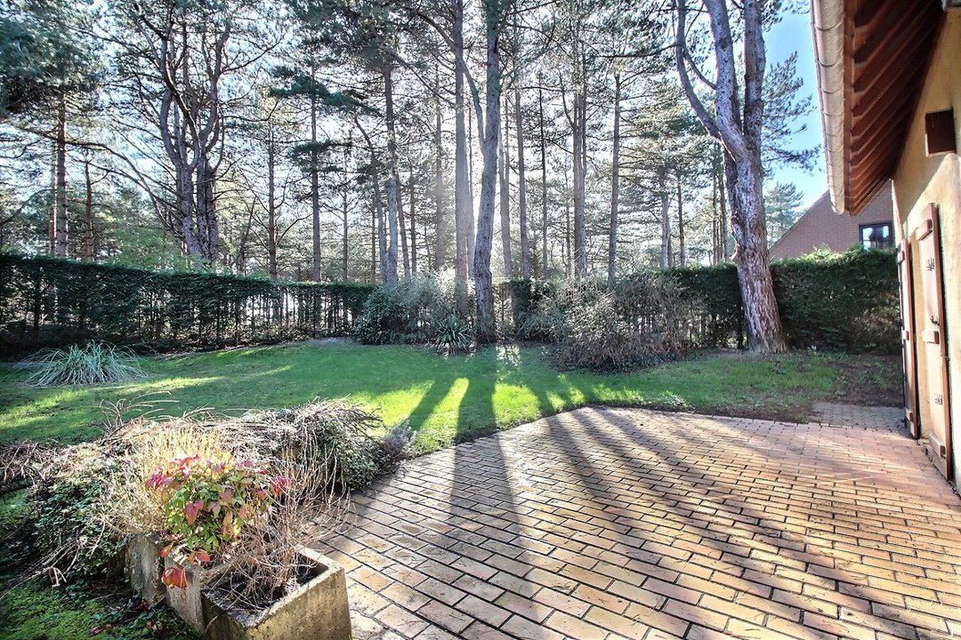 /picture/helios/116215201/34 BRUYERES/11_2025-12-15CET00h00-12.jpg